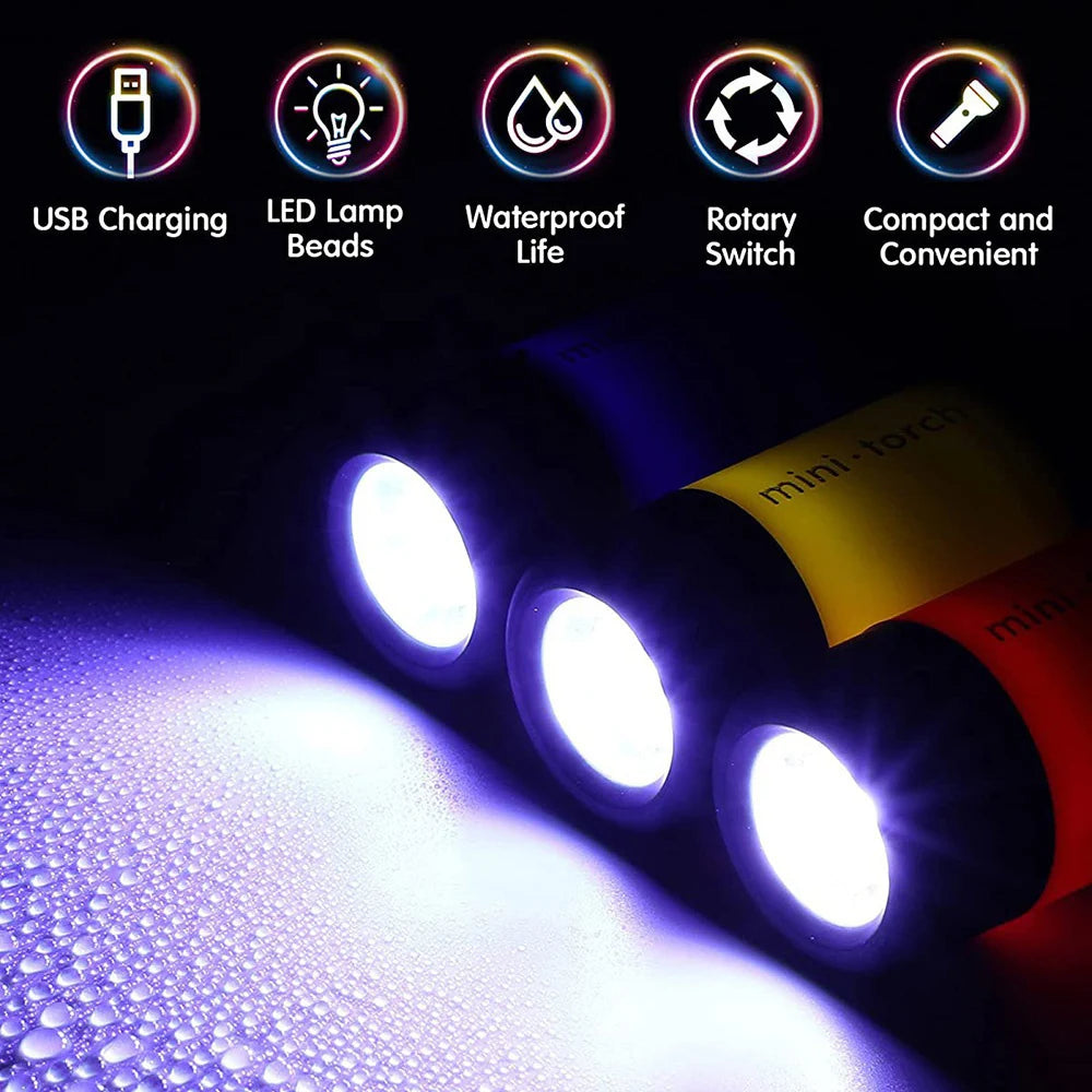 USB Rechargeable Mini LED Keychain Flashlight