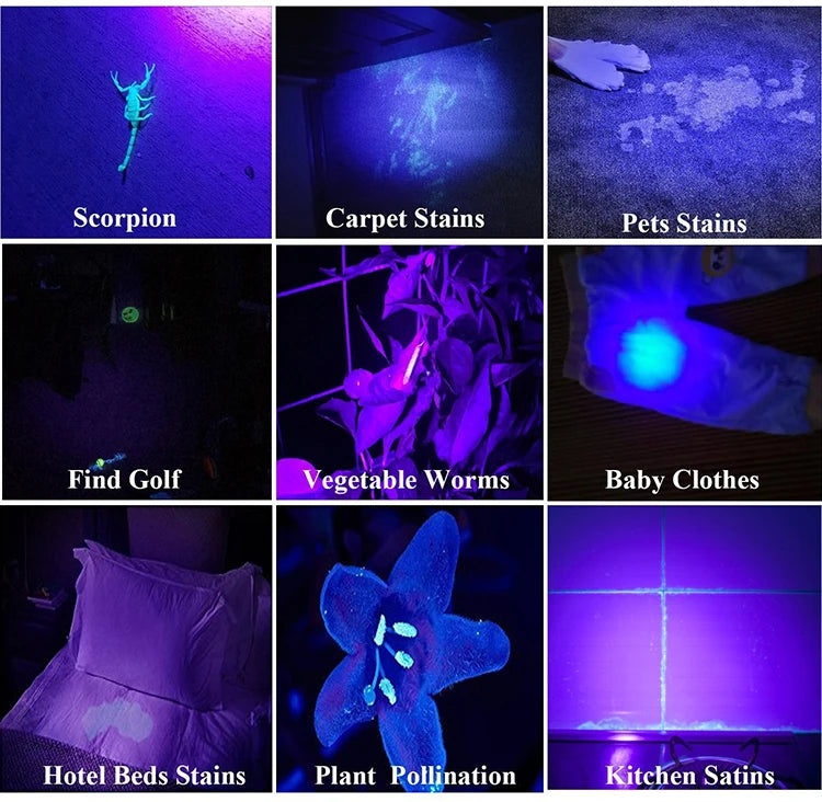 UV Flashlight 21/51/100 LED 395nm for Pet Stains & Bugs